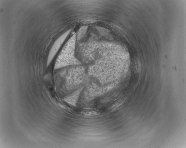 X0000077320512200611171746