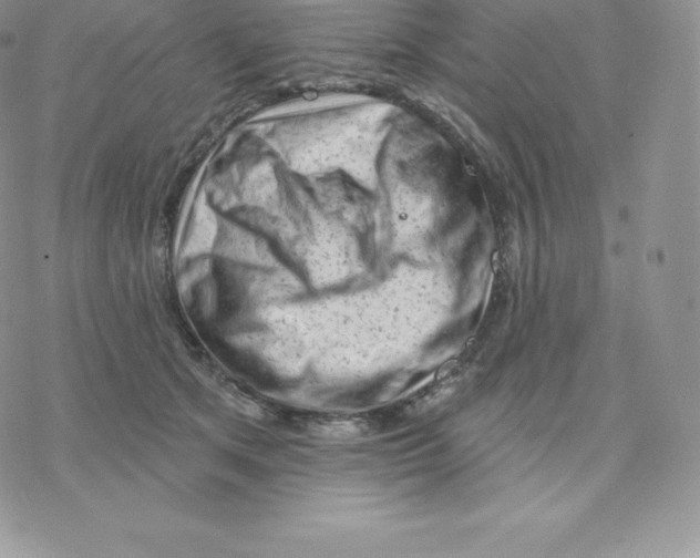 X0000077320513200611171746