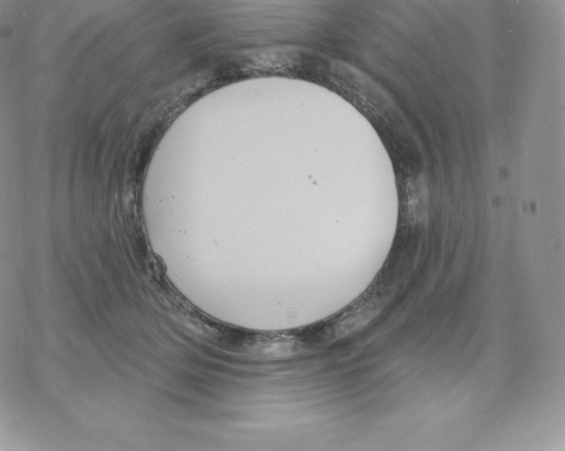 X0000077320514200611171746