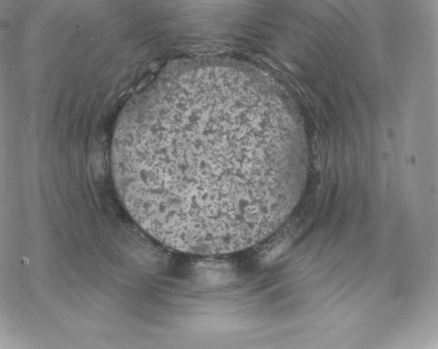 X0000077320515200611171746