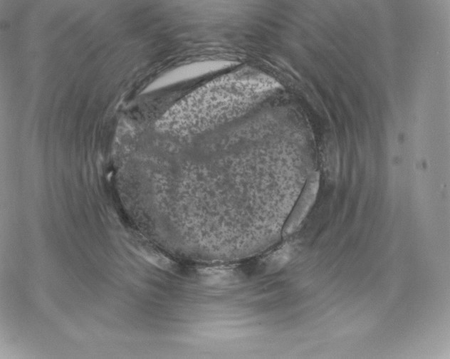 X0000077320516200611171746