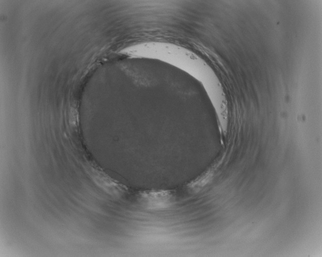 X0000077320517200611171746