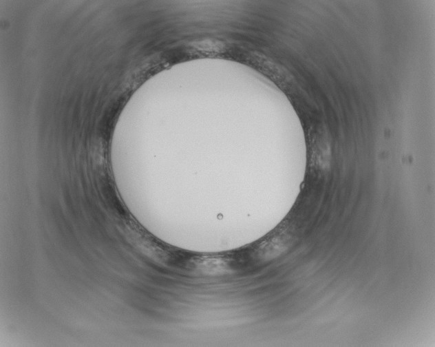 X0000077320518200611171745