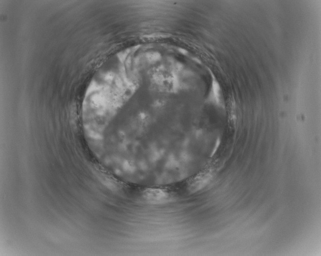 X0000077320519200611171745