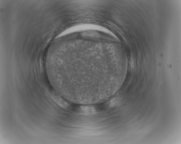 X0000077320520200611171745