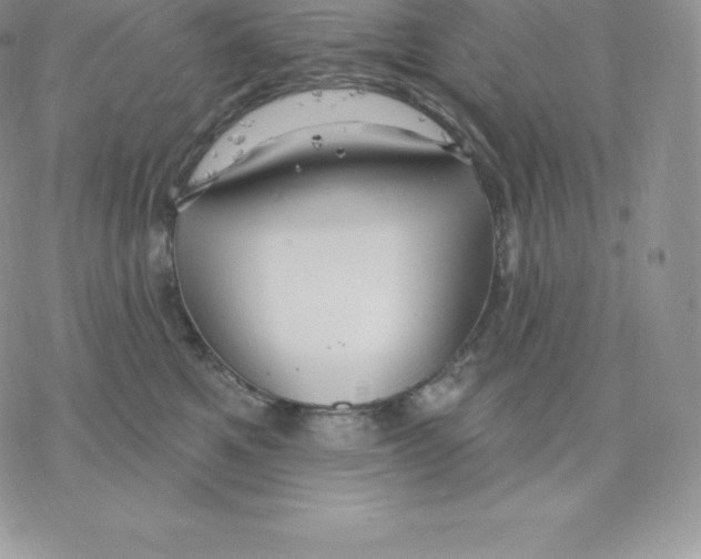 X0000077320521200611171745