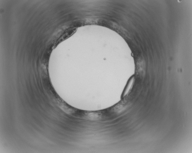 X0000077320522200611171745