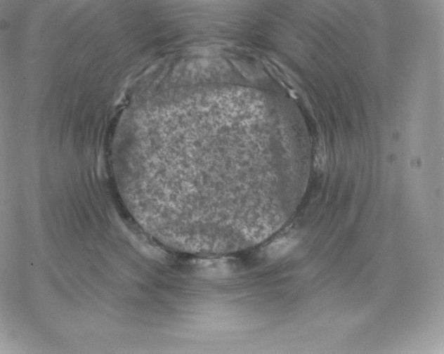 X0000077320524200611171745