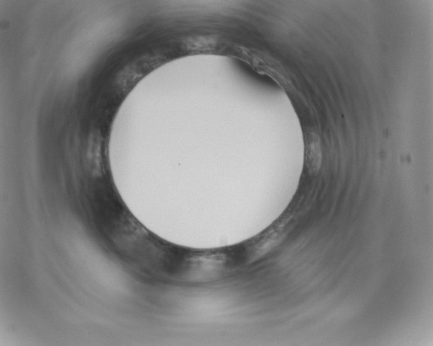 X0000077320525200611171745