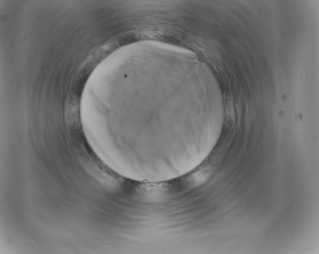 X0000077320526200611171745