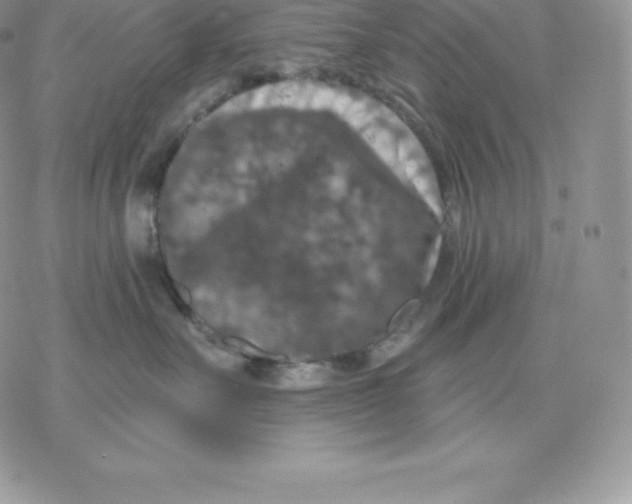 X0000077320527200611171745