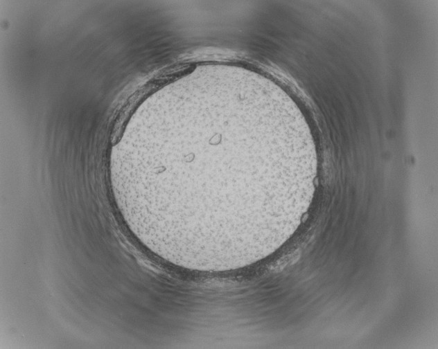 X0000077320529200611171745