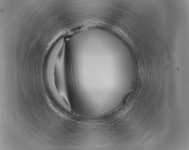 X0000077320530200611171745