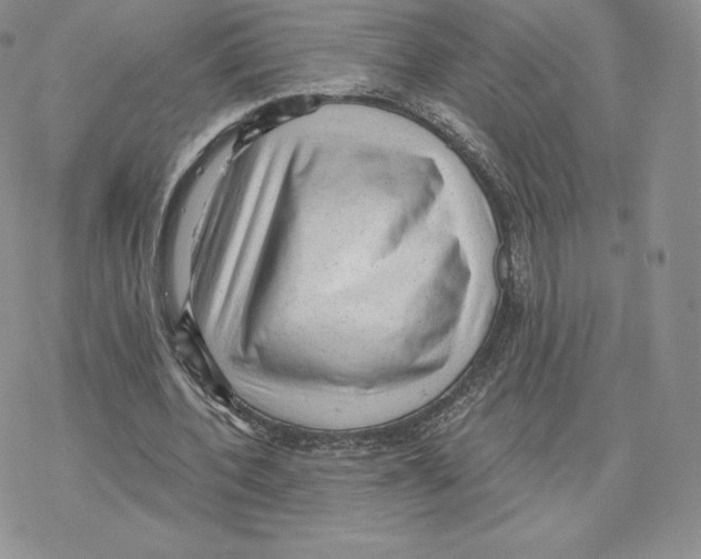 X0000077320532200611171745