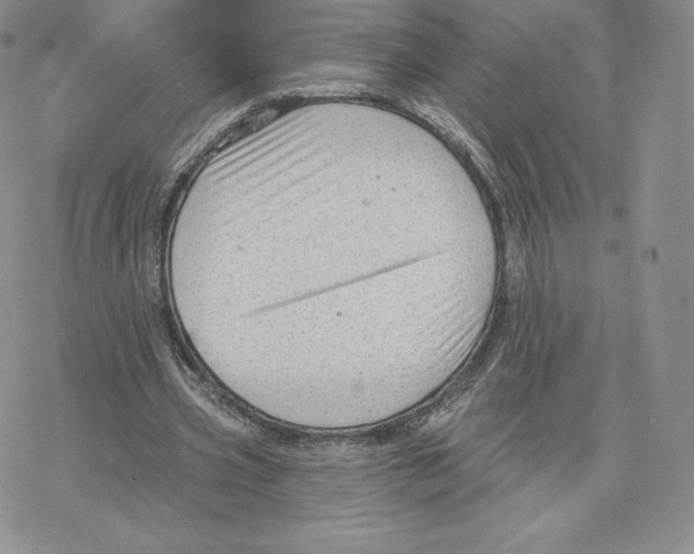 X0000077320533200611171745