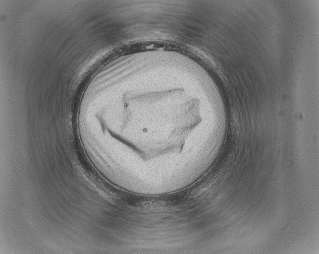 X0000077320535200611171745