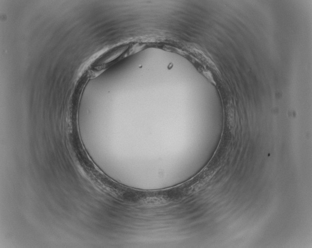 X0000077320536200611171745