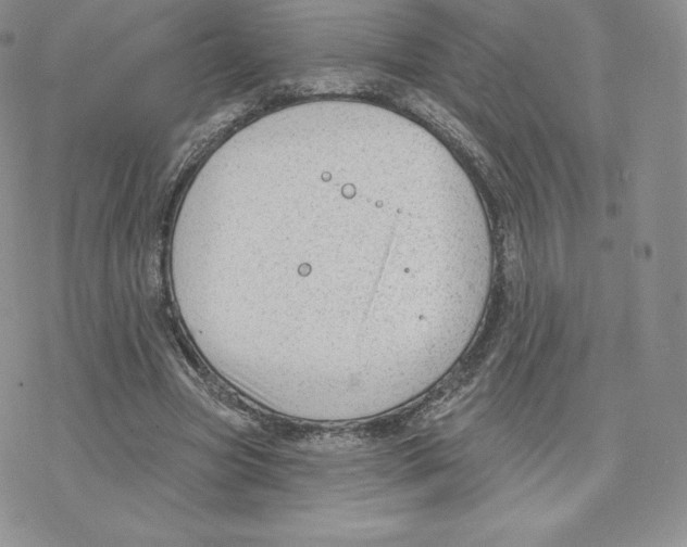 X0000077320537200611171745