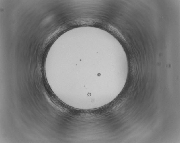 X0000077320538200611171745