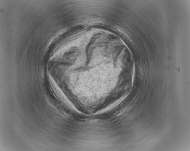 X0000077320539200611171745