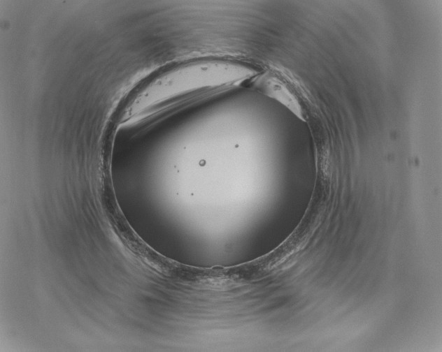 X0000077320540200611171745