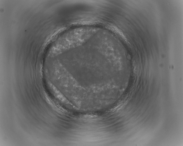 X0000077320542200611171745