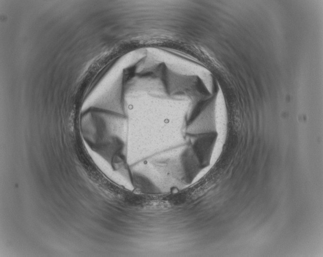 X0000077320543200611171745