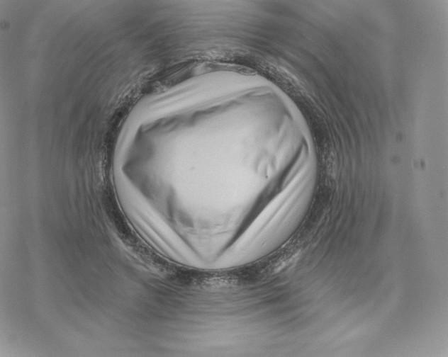 X0000077320546200611171745