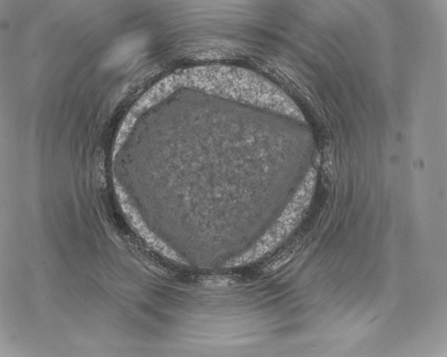 X0000077320547200611171745