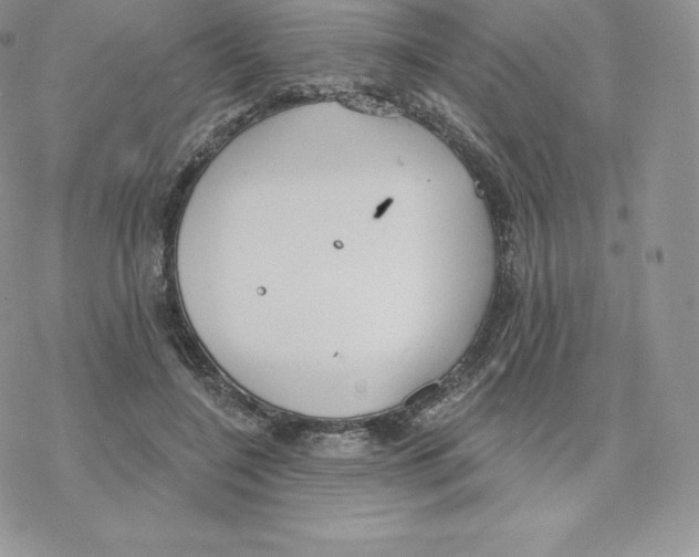 X0000077320548200611171745