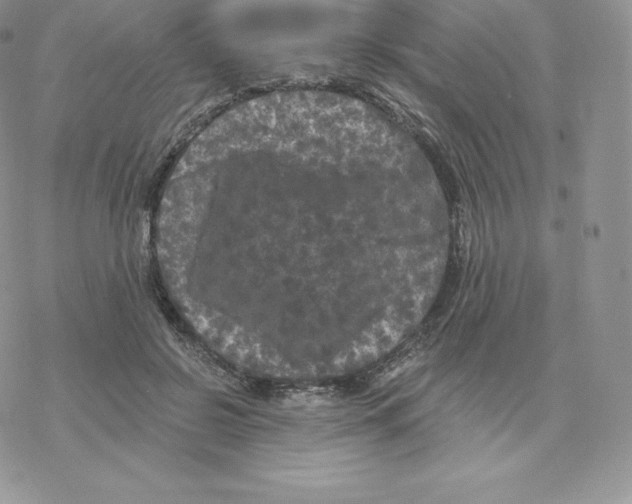 X0000077320550200611171745