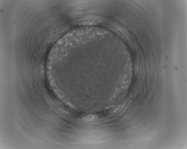 X0000077320551200611171745