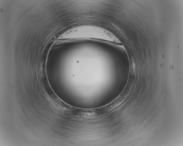 X0000077320552200611171745