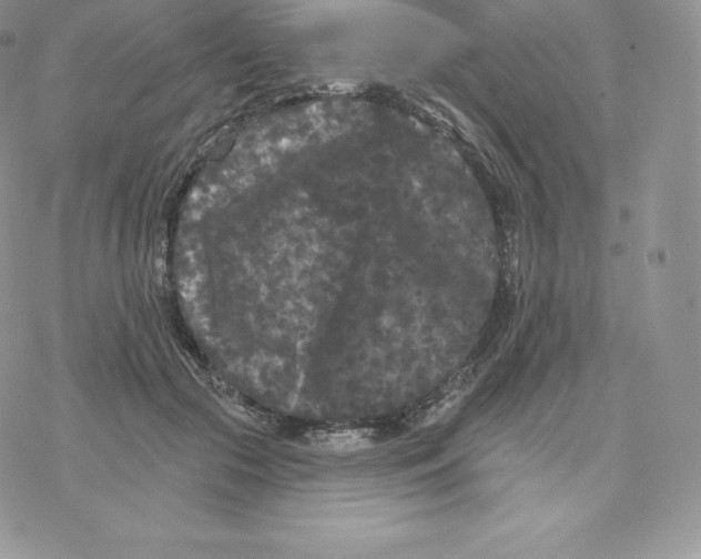 X0000077320553200611171745