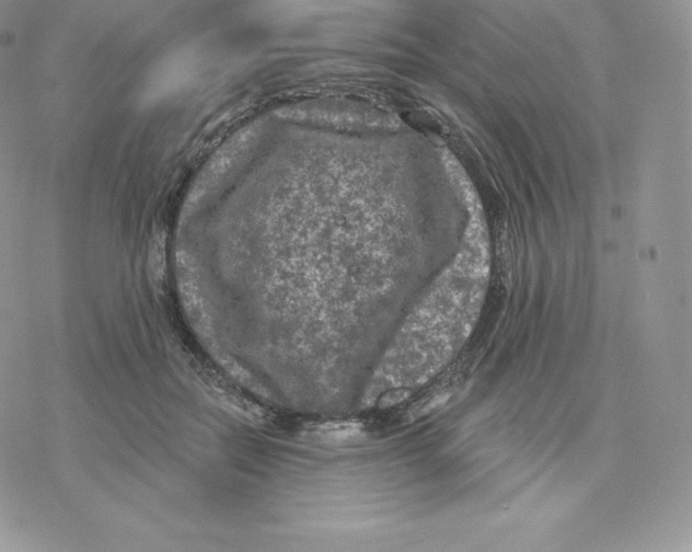 X0000077320554200611171745