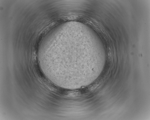 X0000077320555200611171745