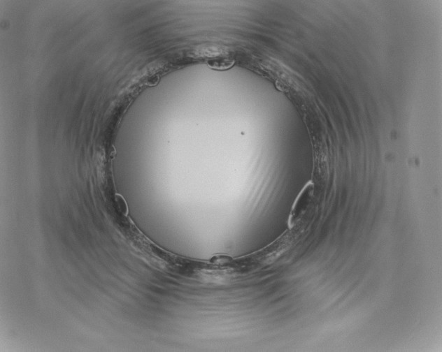 X0000077320556200611171745