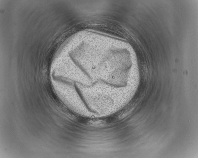 X0000077320557200611171745