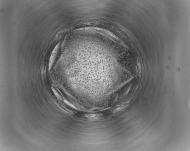 X0000077320558200611171745