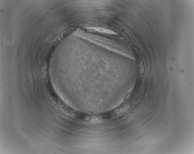 X0000077320559200611171745