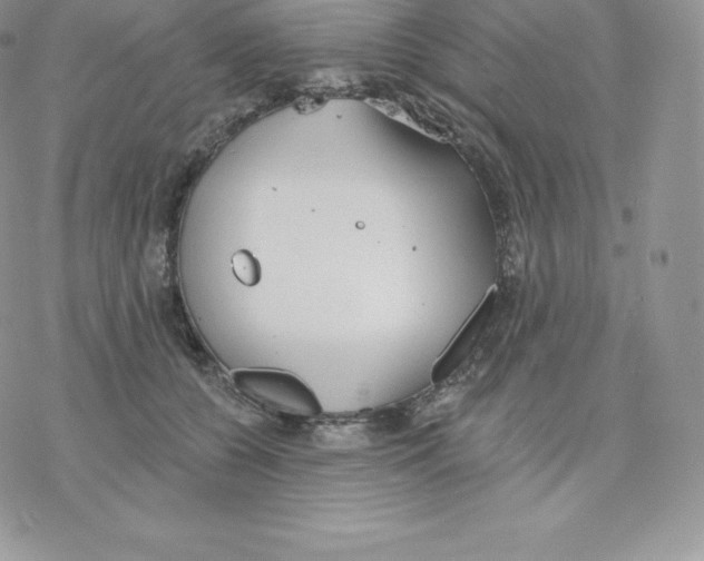 X0000077320560200611171745