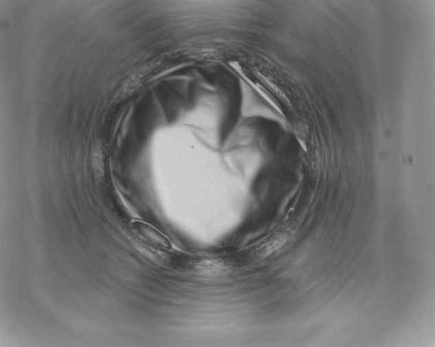 X0000077320562200611171745