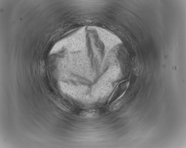 X0000077320563200611171745