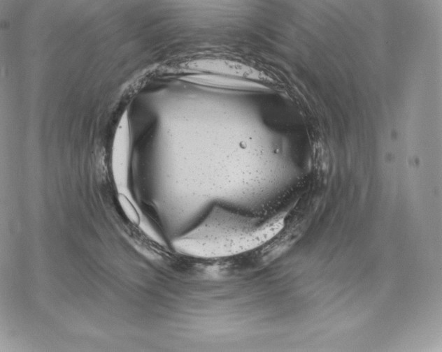 X0000077320564200611171745