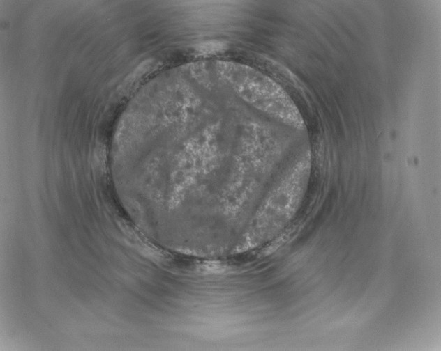 X0000077320565200611171745