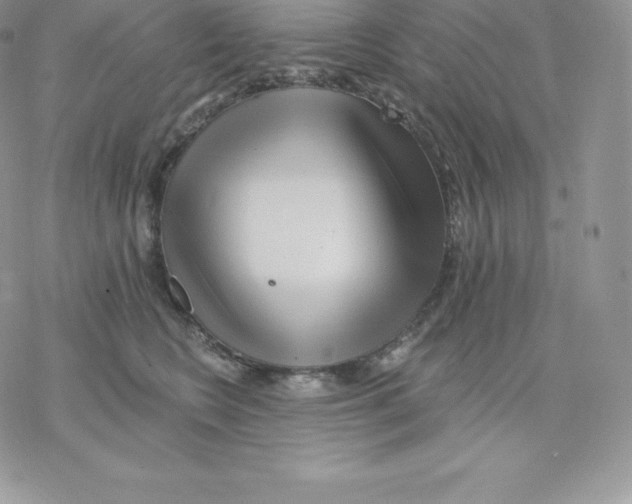 X0000077320566200611171745