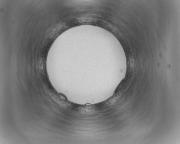 X0000077320567200611171745