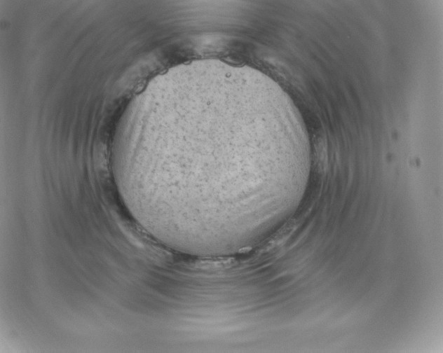 X0000077320571200611171745