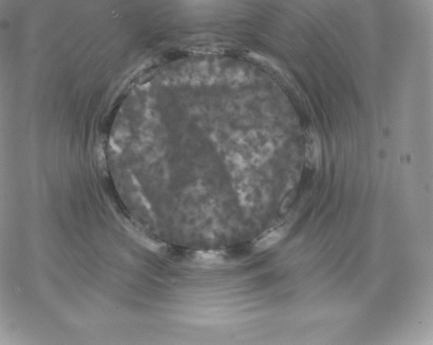 X0000077320573200611171745