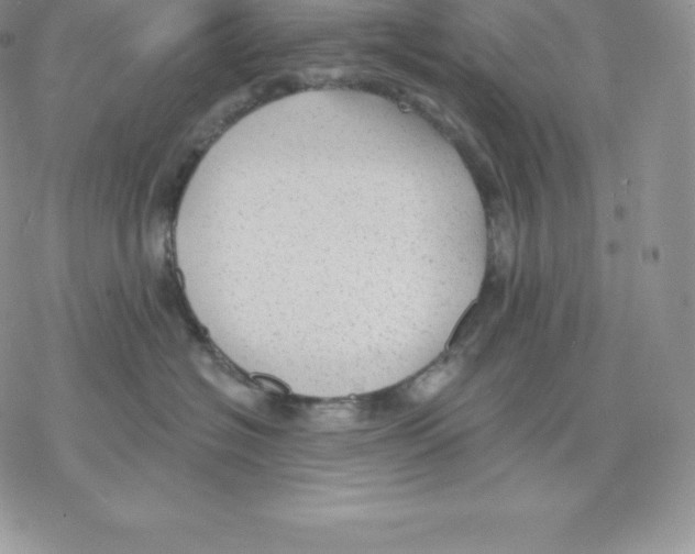 X0000077320574200611171745